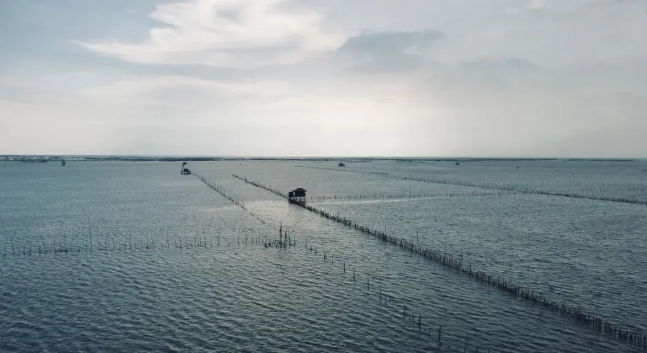 pemandangan laut dari Pulausumba
